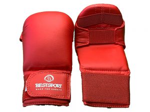 BestSport UK Training Hand Pads