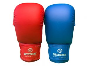 BestSport UK Training Hand Pads